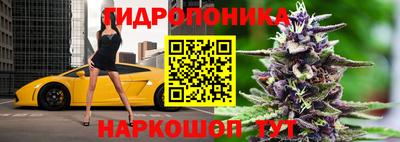гашишное масло Гай