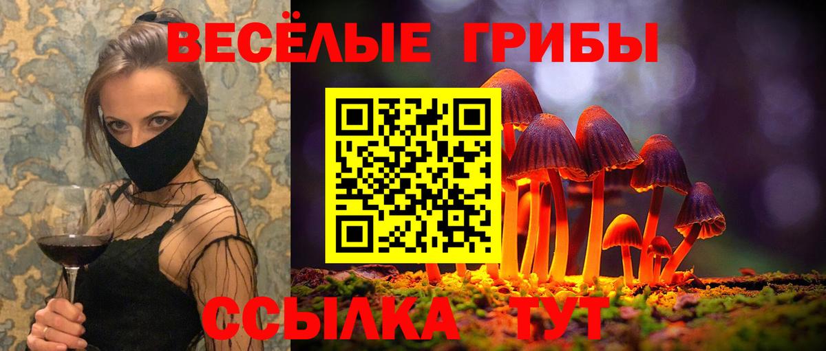 Псилоцибиновые грибы Magic Shrooms Зерноград